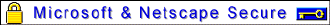 secure2.gif (2674 bytes)